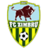 基希讷乌野牛